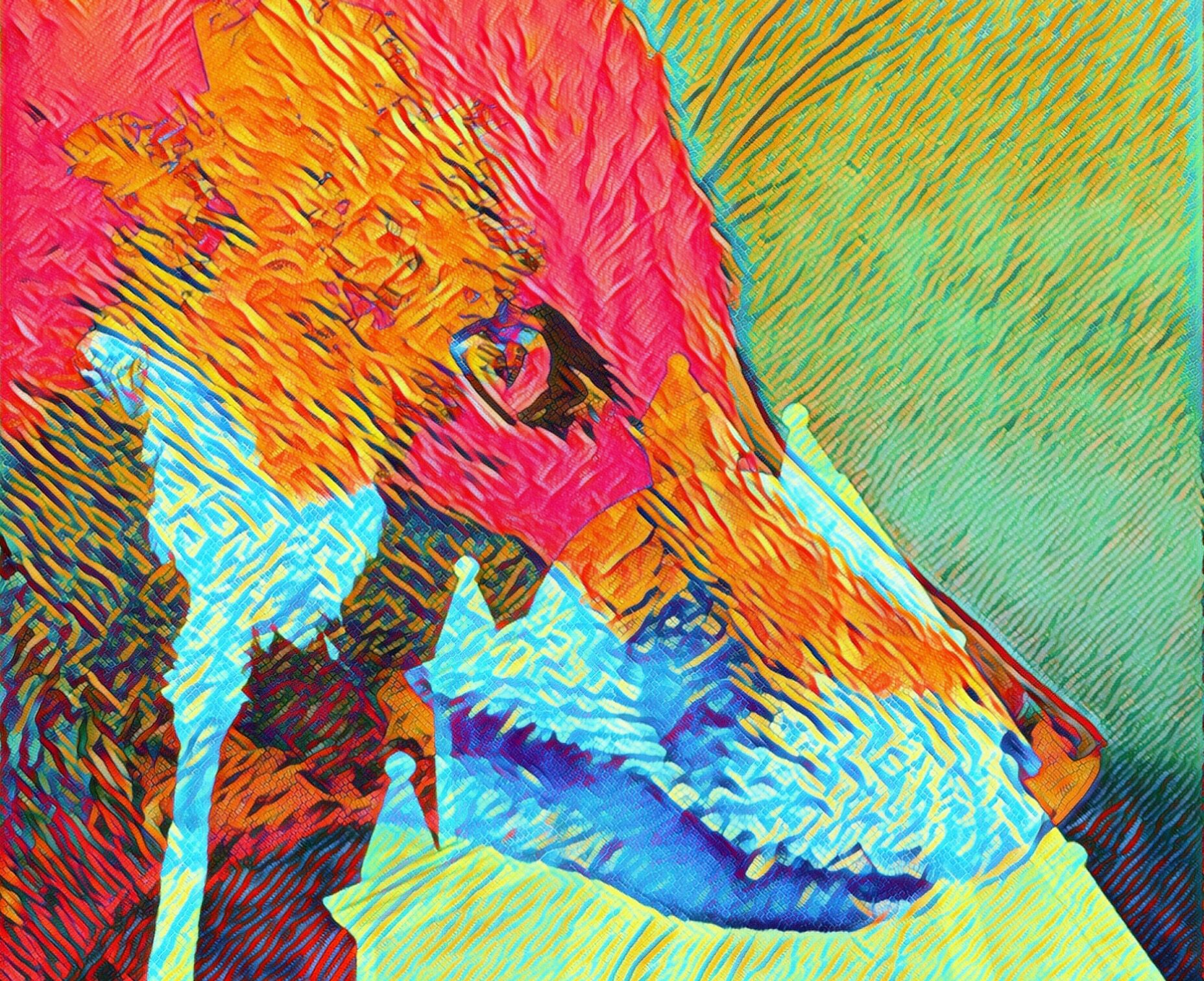 The Island Fox